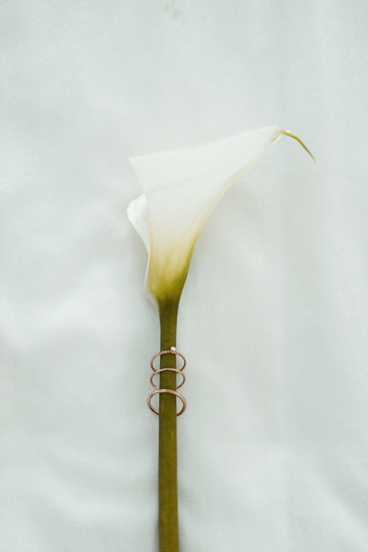 Fotográfa de Bodas Tamara Be Ethereal